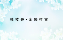 2022-2023学年高一语文 统编版必修下册 随堂课件 桂枝香 金陵怀古